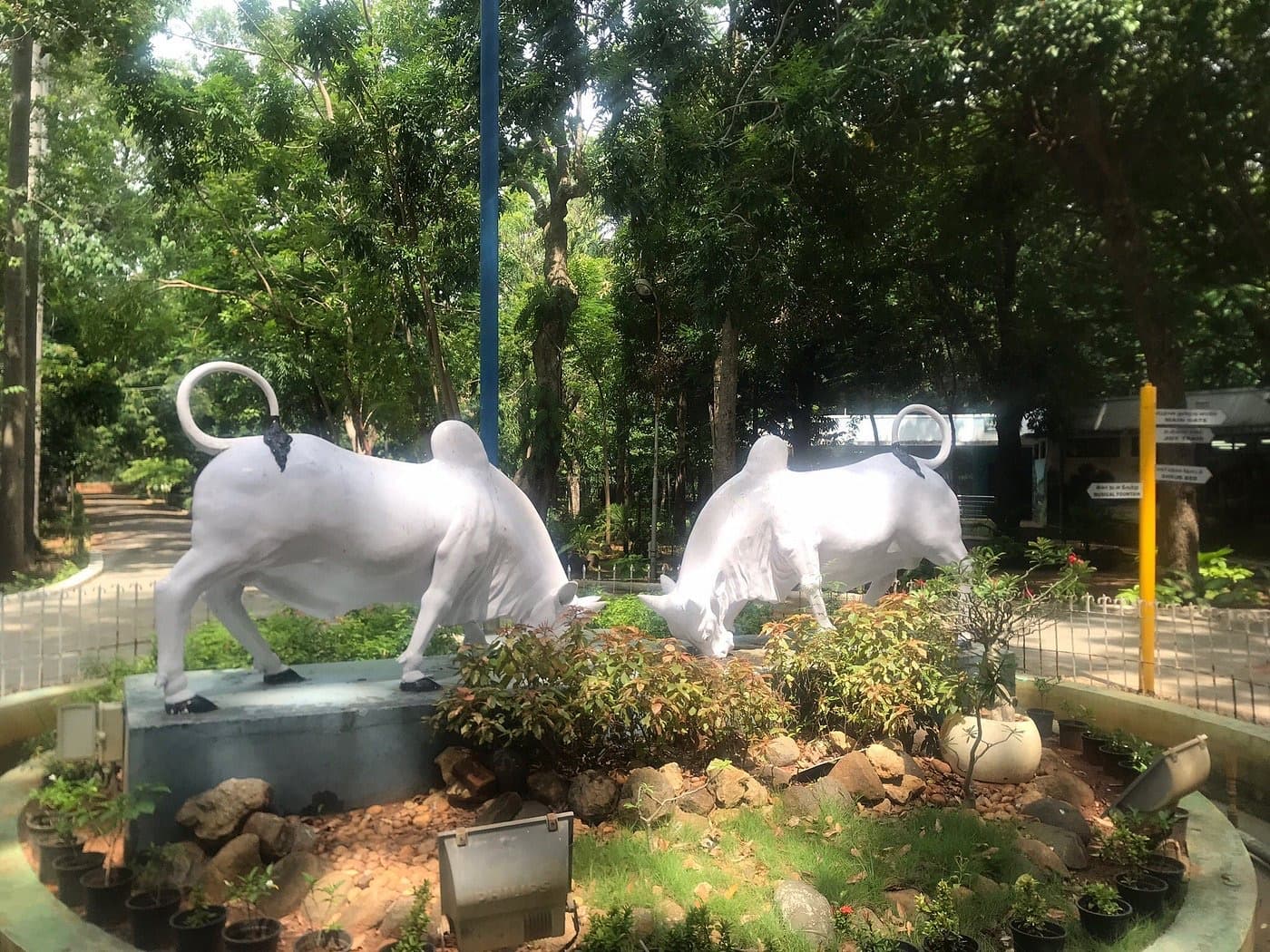 Botanical Garden