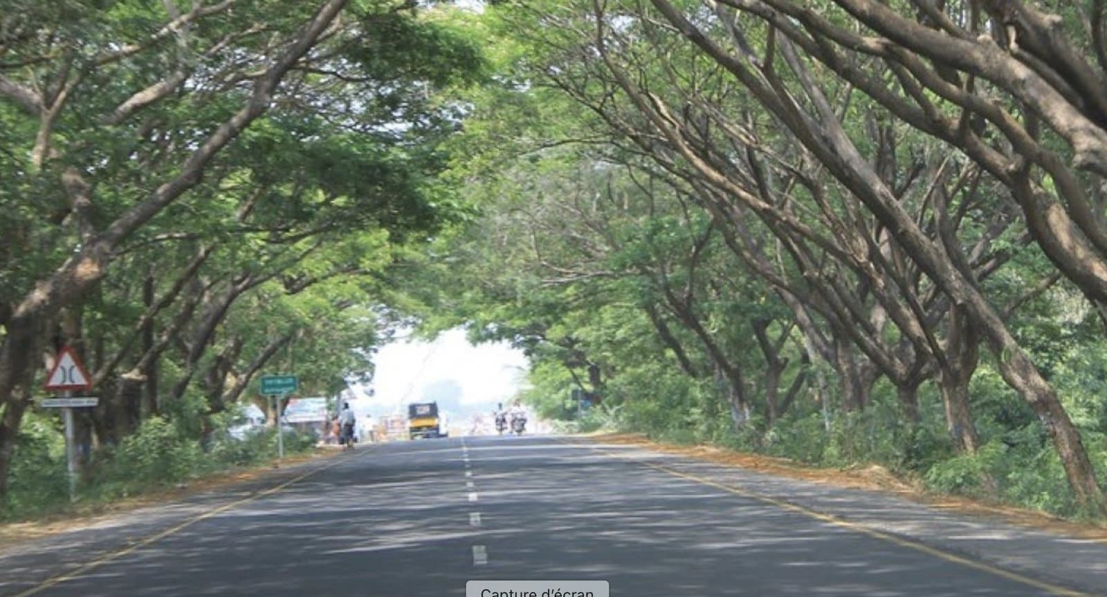 Road trip sur l'East Coast Road